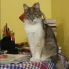 Отзыв от Алиса Ерофеева